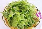 五指山(shān)野菜